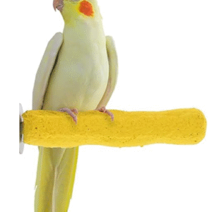 Bird Calcium Perch